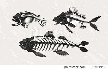 Fish skeleton. Bass bone skull logo with fin, vintage fauna monochrome black silhouette art of retro water animal. Underwater creature. Marine fishbone. Vector isolated design Fish skeleton. Bass bone skull logo with fin, vintage fauna monochrome black silhouette art of retro water animal. Underwater creature. Marine fishbone. Vector isolated design 113404945