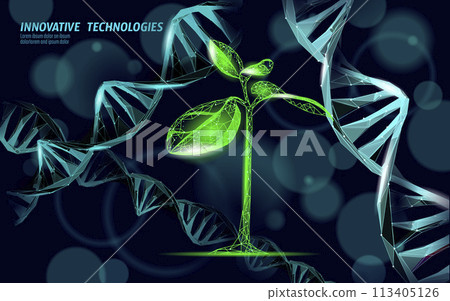 Plant leaf biotechnology abstract concept. 3D render seedling tree leaves DNA genome engineering vitamin supplement. Medical science life eco polygon triangles low poly vector illustration 113405126