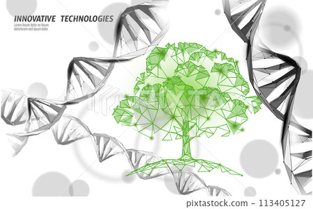 Plant tree biotechnology abstract concept. 3D render seedling tree leaves DNA genome engineering vitamin supplement. Medical science life eco polygon triangles low poly vector illustration 113405127