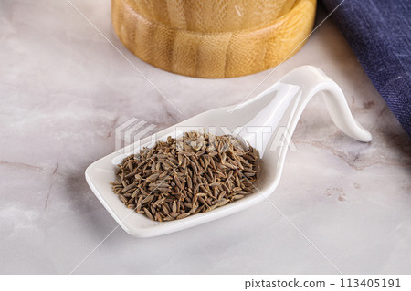 Zeera seeds in the bowl Zeera seeds in the bowl 113405191