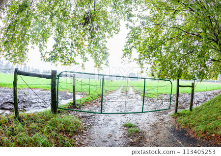 Farm Gate Field Trees Rain Mist Dirt Track Farm Gate Field Trees Rain Mist Dirt Track 113405253
