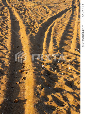 Golden sand with various prints, Sicily Golden sand with various prints, Sicily 113405443