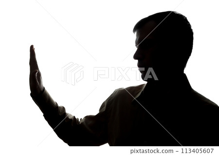 Portrait of a young man, side view 113405607