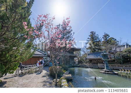 [第一寺院]泉神山寺院[四國88寺院] 113405681