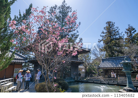 [第一寺院]泉神山寺院[四國88寺院] 113405682