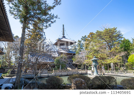 【第一寺】靈山寺、多寶塔、北條池【四國88處】 113405691