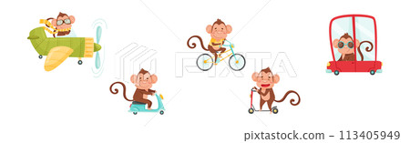 Cute Monkey Driving and Riding Transport Vector Set 113405949