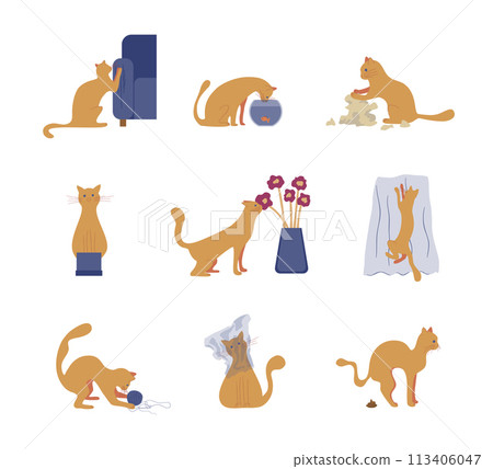 Cartoon Color Naughty Cat Behavior Set Kitten Scratching Furniture or Flower Plant Eat Concept Flat Design Style. Vector illustration Cartoon Color Naughty Cat Behavior Set Kitten Scratching Furniture or Flower Plant Eat Concept Flat Design Style. Vector illustration 113406047