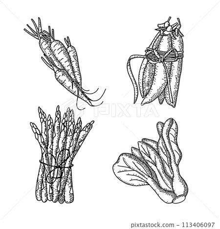 Hand drawn engraved composition with vegetables. Summer food engraved style illustration. Detailed vegetarian sketch. Great for label, poster, print, menu 113406097
