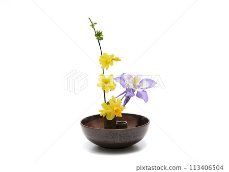 Columbine, wintersweet and daffodils arranged on tableware 113406504