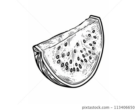 Detailed black and white line art of a watermelon slice on a white background Detailed black and white line art of a watermelon slice on a white background 113406650