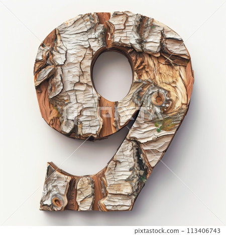 Rustic Wooden Number Nine for Design Projects and Presentations on White Background 113406743