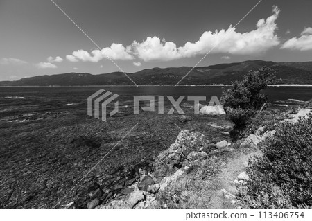 Cupabia beach black and white photo. Coastal landscape of Corsica 113406754