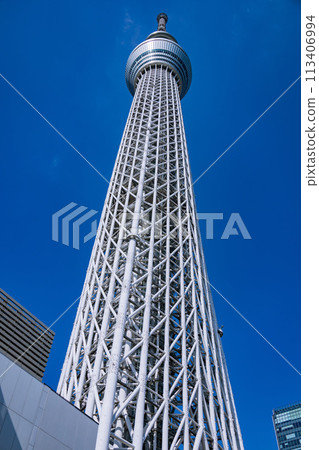 天空樹 113406994