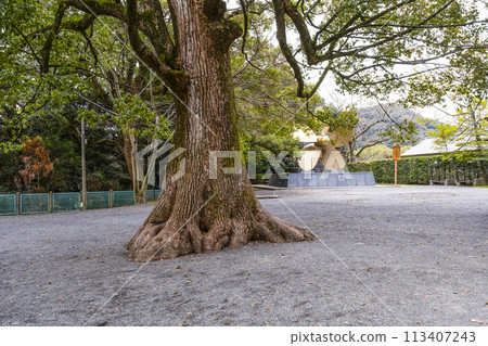 The grounds of Kotohira Shrine (Kagawa Prefecture) The grounds of Kotohira Shrine (Kagawa Prefecture) 113407243