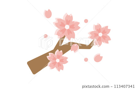 櫻花和樹枝 113407341