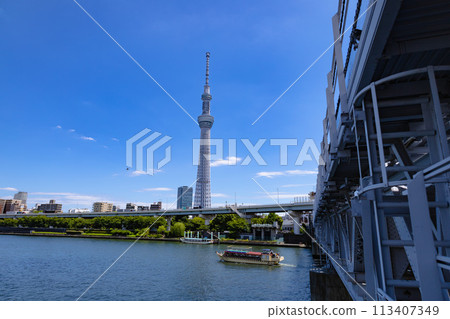 Sky tree  Sky tree  113407349