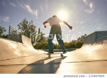 Back view of young skateboarder flies with his board on the ramp of a skate park Back view of young skateboarder flies with his board on the ramp of a skate park 113407604