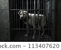 Dog in a dark prison cell. AI created.  113407620