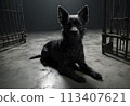 Dog in a dark prison cell. AI created.  113407621