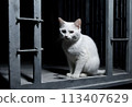Cat in a dark prison cell. AI created.  113407629