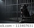 Dog in a dark prison cell. AI created.  113407631