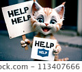 A homeless cat begs with a help sign. AI created.  113407666
