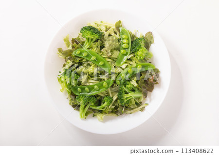 Green salad (snap peas, broccoli, leaf lettuce, cucumber) Green salad (snap peas, broccoli, leaf lettuce, cucumber) 113408622
