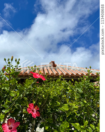 Mensore Okinawa Blue sky, red hibiscus and shisa 113408688