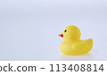 Yellow rubber ducks on a white background 113408814