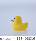 Five Yellow rubber ducks on a white background 113408816