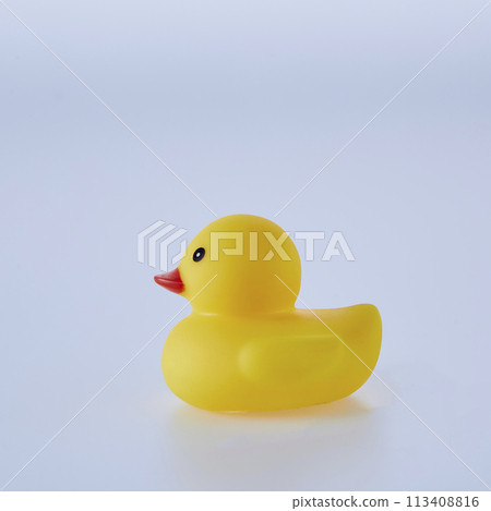 Five Yellow rubber ducks on a white background 113408816