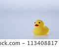 Five Yellow rubber ducks on a white background 113408817