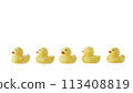 Five Yellow rubber ducks on a white background 113408819