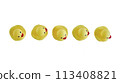Five Yellow rubber ducks on a white background 113408821