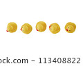 Five Yellow rubber ducks on a white background 113408822