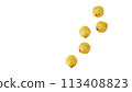 Five Yellow rubber ducks on a white background 113408823