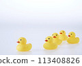 Five Yellow rubber ducks on a white background 113408826