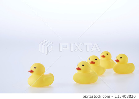 Five Yellow rubber ducks on a white background 113408826