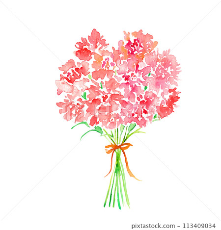 Watercolor painting. Mother's Day watercolor illustration. Watercolor carnation illustration. Carnation vector material. 113409034