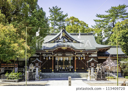 大阪府藤井寺市藤井寺市區唐國神社參拜殿 113409720
