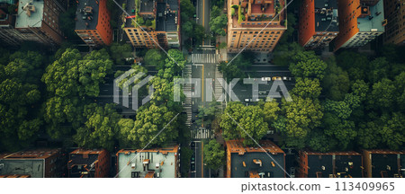An aerial perspective captures the intricate layout of city streets, buildings, and green spaces, showcasing urban planning and infrastructure. An aerial perspective captures the intricate layout of city streets, buildings, and green spaces, showcasing urban planning and infrastructure. 113409965