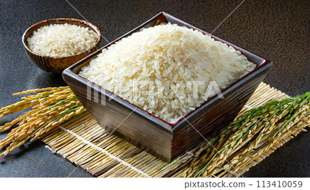 水稻豐收形象 水稻豐收形象 113410059