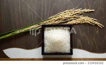 稻米豐收、精米、白米 113410102
