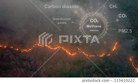 Bushfires in tropical forest release carbon dioxide (CO2) emissions and other greenhouse gases (GHG) that contribute to climate change. 113410222
