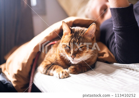 Teenage boy travelling with a cat in the sleep wagon of passenger train. Teenage boy travelling with a cat in the sleep wagon of passenger train. 113410252