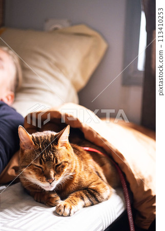 Teenage boy travelling with a cat in the sleep wagon of passenger train. Teenage boy travelling with a cat in the sleep wagon of passenger train. 113410253