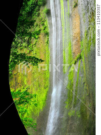 Fresh green Yufugawa Valley (Yufu City/Beppu City/vertical composition) 113410387