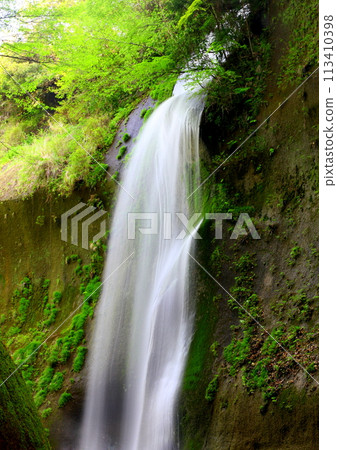 新綠湯布川谷（由布市/別府市/縱向構圖） 113410398