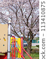 有櫻花和遊樂設施的公園 113410875